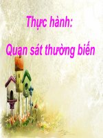 thuc hành sinh học