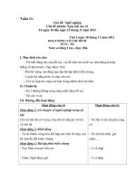 GA chủ đề nghề nghiệp