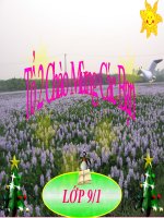 bai 27 thuc hanh quan sat thuc hanh thuong bien