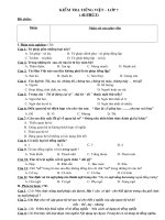 DE KIEM TRA TIENG VIET LOP 7