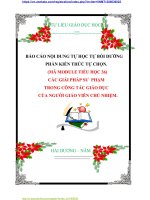 BÁO cáo nội DUNG tự học tự bồi DƯỠNG PHẦN KIẾN THỨC tự CHỌN  module mã MODULE TIỂU học 36   các  GIẢI PHÁP sư PHAM TRONG CÔNG tác GIÁO dục của NGƯỜI GIÁO VIÊN CHỦ NHIỆM