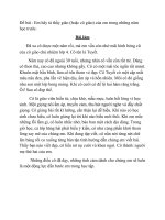 Em hãy tả thầy giáo (hoặc cô giáo) của em trong những năm học trước