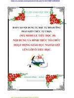 BÁO CÁO NỘI DUNG TỰ HỌC TỰ BỒI DƯỠNG PHẦN KIẾN THỨC TỰ CHỌN. (MÃ MODULE TIỂU HỌC 38) NỘI DUNG VÀ HÌNH THỨC TỔ CHỨC HOẠT ĐỘNG GIÁO DỤC NGOÀI GIỜ LÊN LỚP Ở TIỂU HỌC.