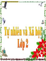 BÀI: PHÒNG TRÁNH NGỘ ĐỘC KHI Ở NHÀ