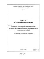 báo cáo nghiên cứu tổng quan hiện trạng sản xuất và yêu cầu cơ bản của một số loại rau quả làm nguyên liệu cho bảo quản và chế biến