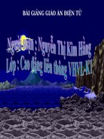 Nguyễn Thị Kim Hằng