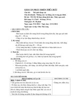 Giáo án phát triển thể chất