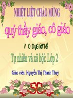 GIU SACH MOI TRUONG XUNG QUANH NHA O
