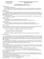 de thi HSG tinh Nghe an, mon Sinh lop 12, năm hoc 03-04