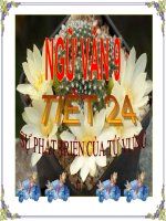 Tiết 24: Sự phát triển của từ vựng