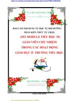 BÁO CÁO NỘI DUNG TỰ HỌC TỰ BỒI DƯỠNG PHẦN KIẾN THỨC TỰ CHỌN. MÃ MODULE TIỂU HỌC 35: GIÁO VIÊN CHỦ NHIỆM TRONG CÁC HOẠT ĐỘNG  GIÁO DỤC Ở  TRƯỜNG TIỂU HỌC.