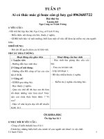 giao an buoi chieu lop 5 tuan 17