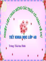 bai 13 phong benh beo phi