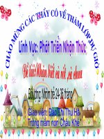 NBTN cà rốtt cà chua