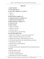 SKKN:MỘT SỐ KINH NGHIỆM TRONG CÔNG TÁC CHỦ NHIỆM LỚP 9