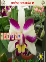 Bài Ôn tập chương I Điện Học