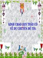 chuyên đề tin thcs