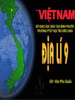 so sánh và phân tích tháp dân số
