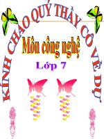 bai 16 gieo trong cay nong nghiep( CHUAN).ppt
