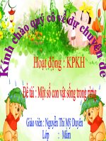 MÔT SỐ CON VẬT SỐNG TRONG RỪNG