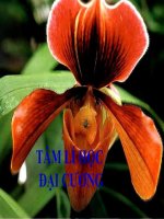 giáo án điện tử Môn Tâm lý học