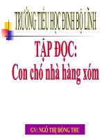 con chó nhà hàng xóm