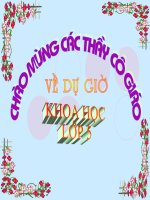 Bài 31.khoa học lớp 5