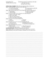 Đề thi ngữ văn 6