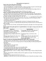 Đề cương ôn tập học kì 1 lịch sử