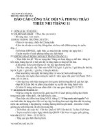 Báo cáo tháng 11 của Liên đội THCS Phú Mậu