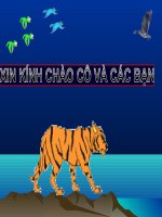 trap doi chat  dong vat