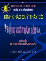 Toán 4 Bài Vẽ Hai đường thẳng song song