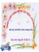trang trí nhà ơ bằng cây cảnh và hoa