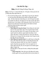 phương pháp dạy tiếng việt