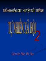 Bài 24: Cây sống ở đâu