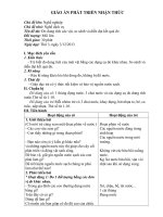 giáo án biểu diaãn âm nhạc