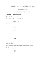 BÀI KIỂM TRA CHẤT LƯỢNG NĂM 2013 2
