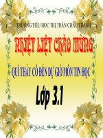 Trường TH Thị Trấn Châu Thành Bến Tre