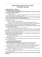 de cuong mon ngu van 9 ki 1 nam 2013