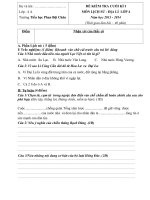 đề cuong on tap lop 4