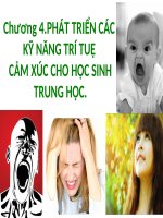 Phát triển kỹ năng trí tuệ , cảm xúc