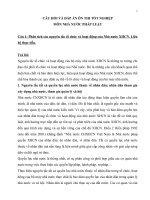 câu hỏi và đáp án ôn thi tốt nghiệp môn nhà nước pháp luật