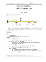 báo cáo thực hành thiết kế trên máy tính với rdm