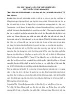 câu hỏi và đáp án ôn thi tốt nghiệp môn chủ nghĩa xã hội khoa học