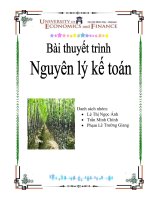 phân tích báo cáo tài chính của công ty đường biên hòa - bhs