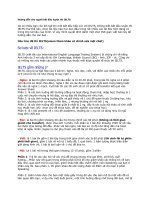 hướng dẫn cho người bắt đầu thi ielts