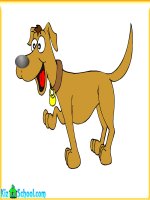 học từ vựng bằng hình ảnh