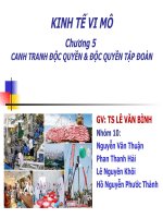 tiểu luận môn kinh tế vi mô  canh tranh độc quyền & độc quyền tập đoàn