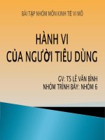 tiểu luận môn kinh tế vi mô hành vi của người tiêu dùng