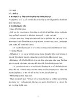 Đề cương ôn tập triết học căn bản